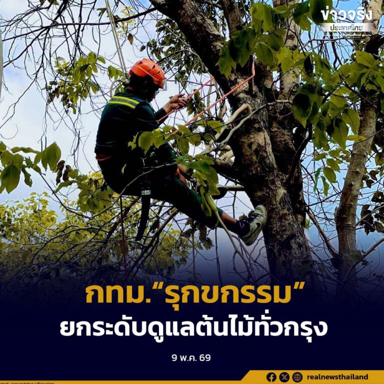 กทม. เดินหน้าพัฒนางาน “รุกขกรรม” ยกระดับมาตรฐานดูแลต้นไม้ทั่วกรุง สู่ความปลอดภัยและยั่งยืน