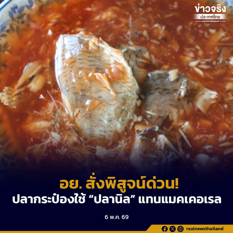 อย. สั่งพิสูจน์ด่วน! ปลากระป๋องใช้ “ปลานิล” แทนแมคเคอเรล หาก “ย้อมแมว” จริง เจอโทษหนัก