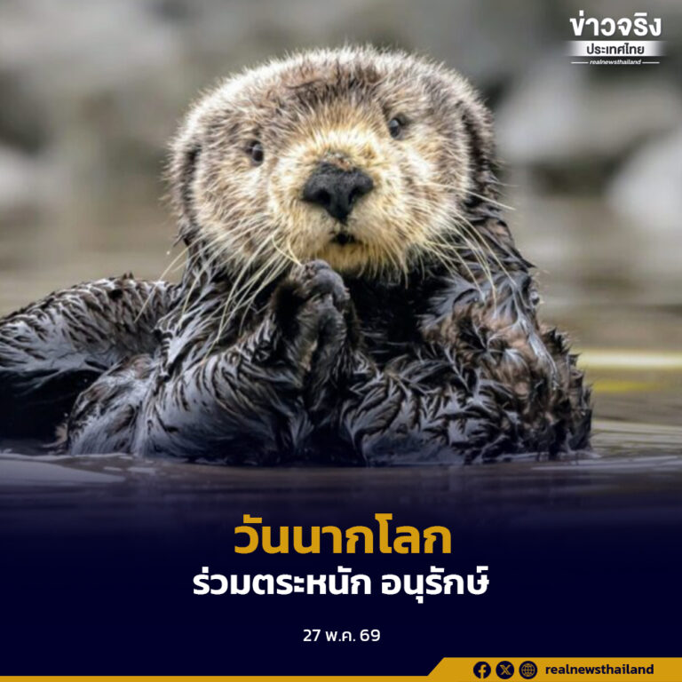 วันนากโลก (World Otter Day) ตระหนักถึงภัยคุกคามที่มีต่อนาก อยู่ในข่ายใกล้สูญพันธุ์