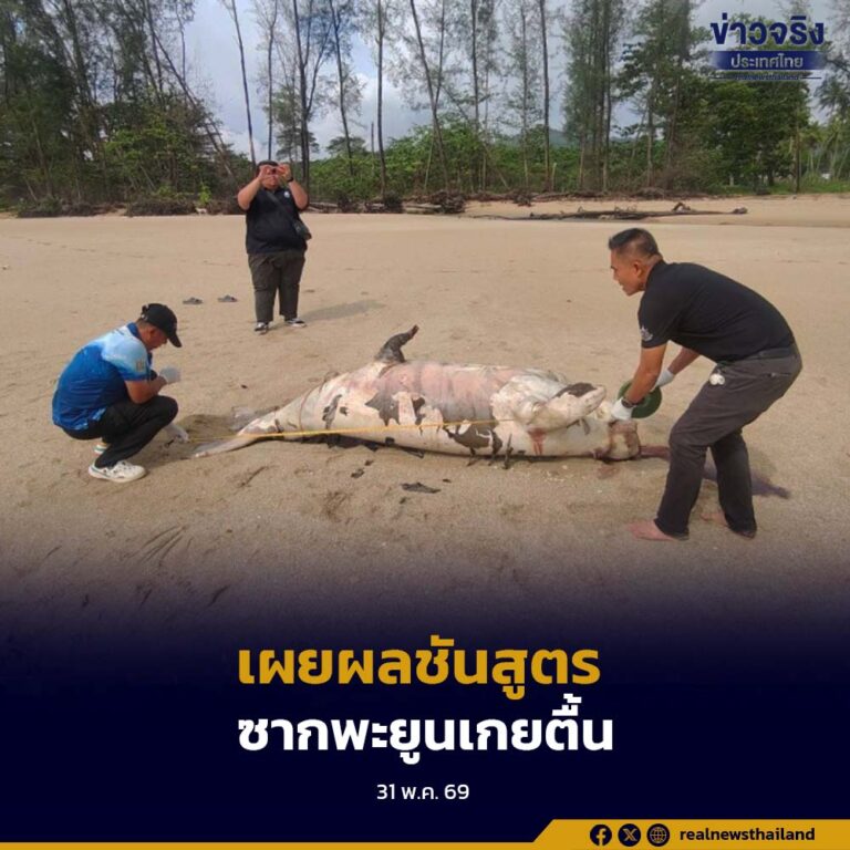 กรมทรัพยากรทางทะเลและชายฝั่ง เผยผลชันสูตรซากพะยูนเกยตื้นที่จังหวัดพังงา คาดเสียชีวิตเฉียบพลัน