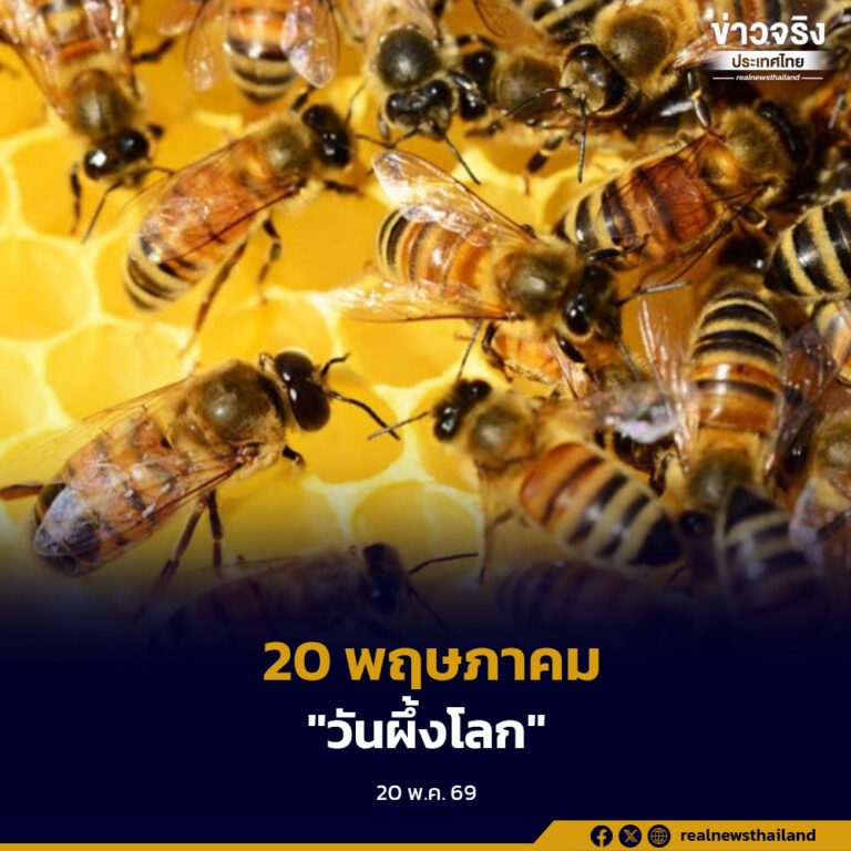 20 พฤษภาคม “วันผึ้งโลก” นักผสมละอองเกสรดอกไม้และพันธุ์พืช สร้างสมดุลให้กับระบบนิเวศในธรรมชาติ