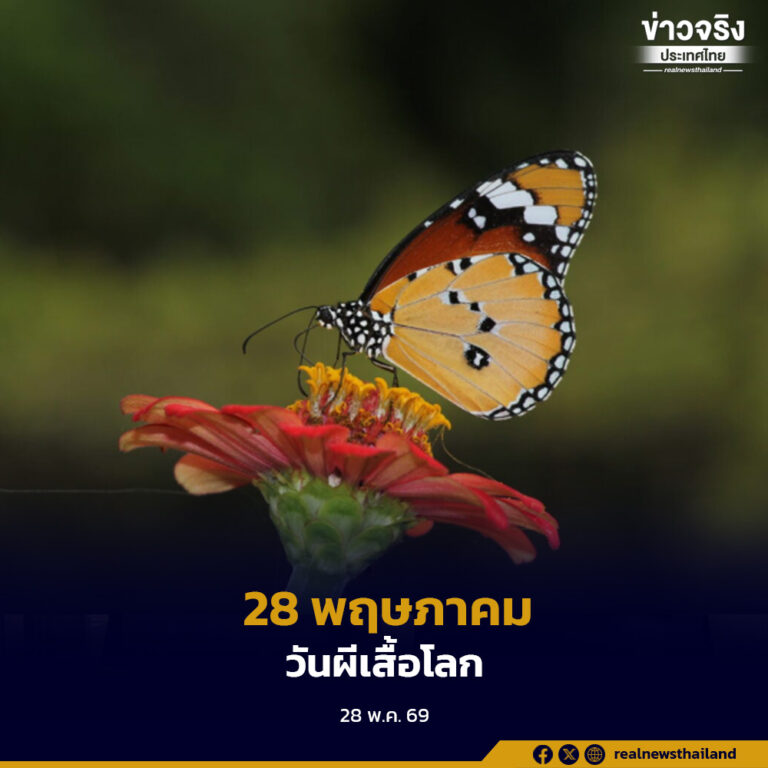 28 พฤษภาคม “วันผีเสื้อโลก” แมลงปีกบางตัวเล็กผู้รักษาสมดุลของระบบนิเวศ