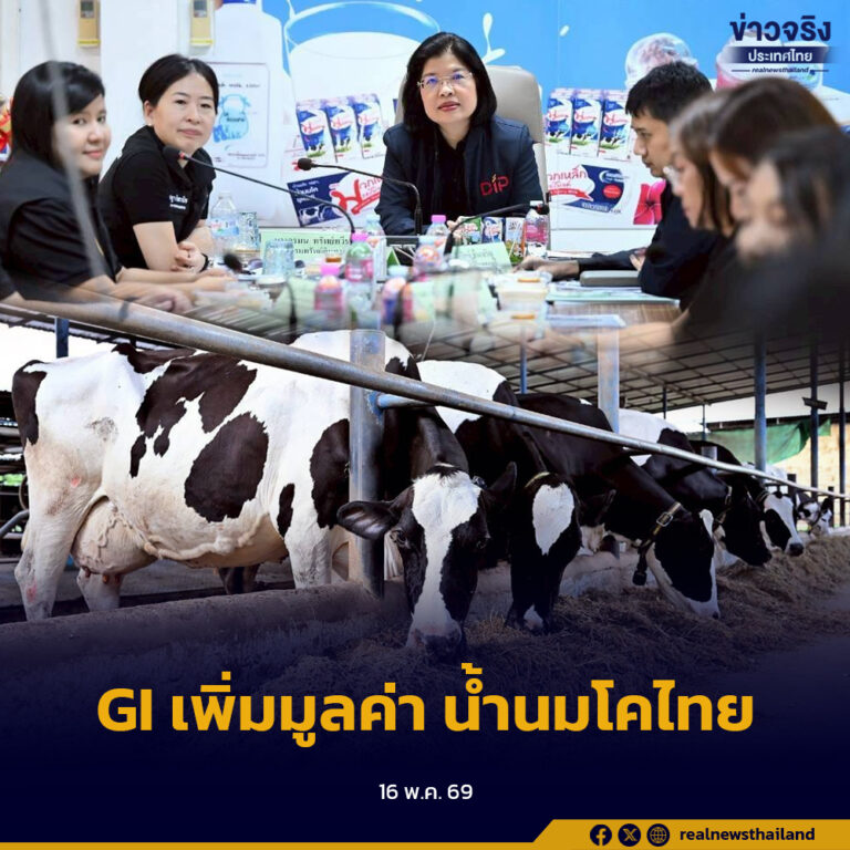 กรมทรัพย์สินทางปัญญา ลงพื้นที่จังหวัดสระบุรี ผลักดัน “น้ำนมโคมวกเหล็ก” เตรียมขึ้นทะเบียนเป็นสินค้า GI