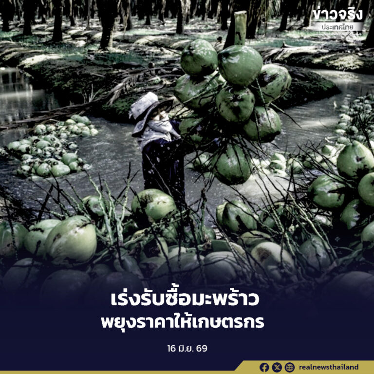 เพิ่มการรับซื้อผลผลิตมะพร้าว 2.5 ล้านลูกภายใน 2 สัปดาห์ เร่งดูดซับผลผลิตล้นตลาดและพยุงราคาให้เกษตรกร