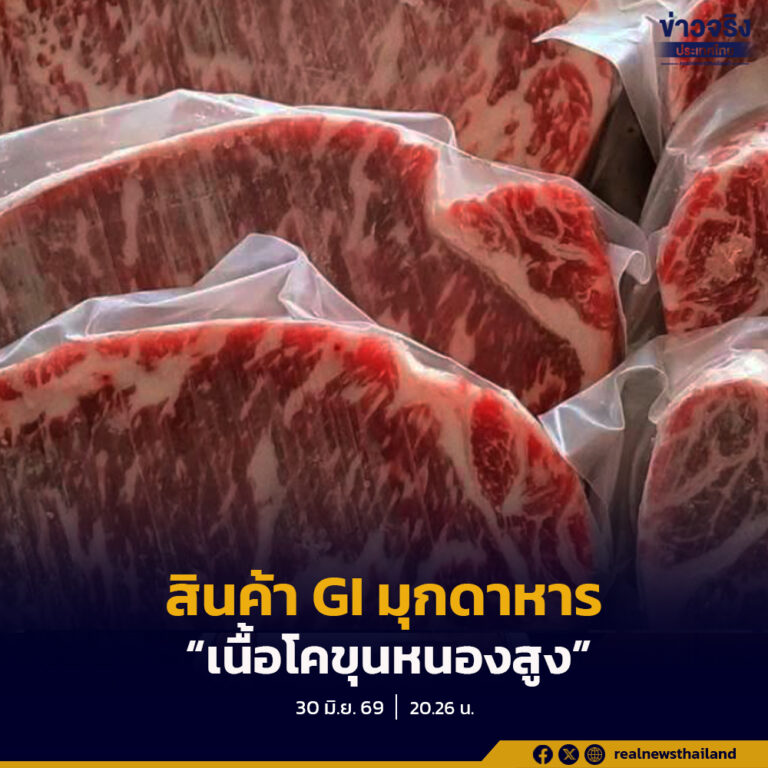 มุกดาหารเดินหน้ายกระดับ “เนื้อโคขุนหนองสูง” เตรียมขึ้นทะเบียน GI สินค้าชนิดที่ 2 ของจังหวัด