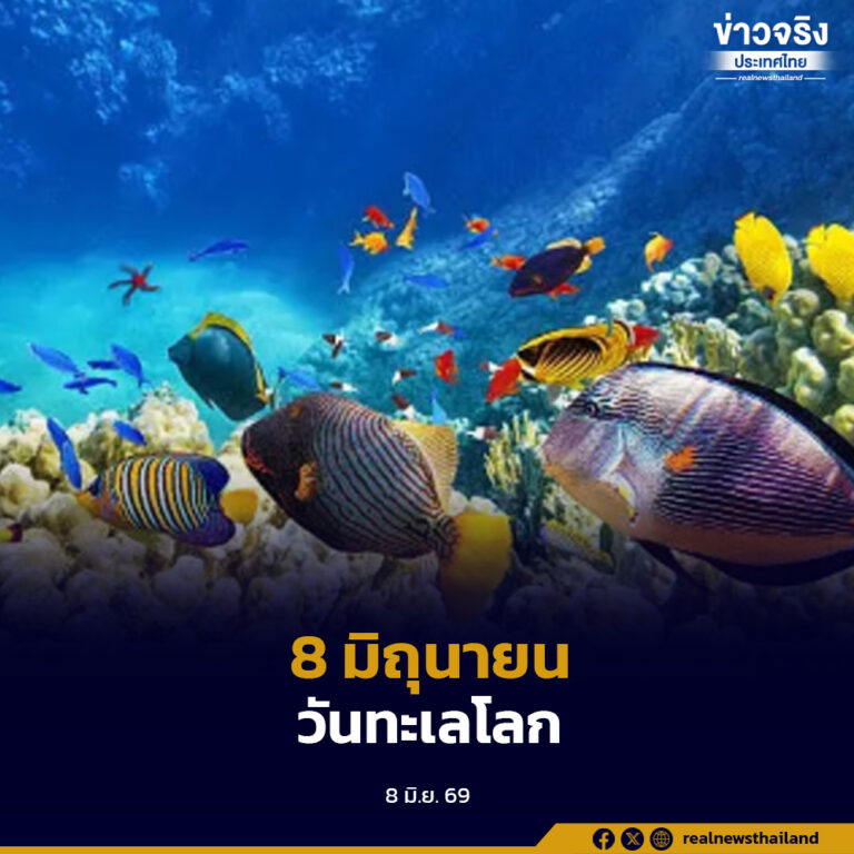 วันทะเลโลก ร่วมกันอนุรักษ์ทะเลและมหาสมุทร ส่งต่อความงดงามและความสมบูรณ์ให้คนรุ่นต่อไป