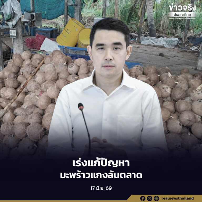 กระทรวงพาณิชย์เร่งแก้ปัญหามะพร้าวแกงล้นตลาด ประสานโรงงานรับซื้อผลผลิตคงค้างกว่า 8.8 ล้านลูก