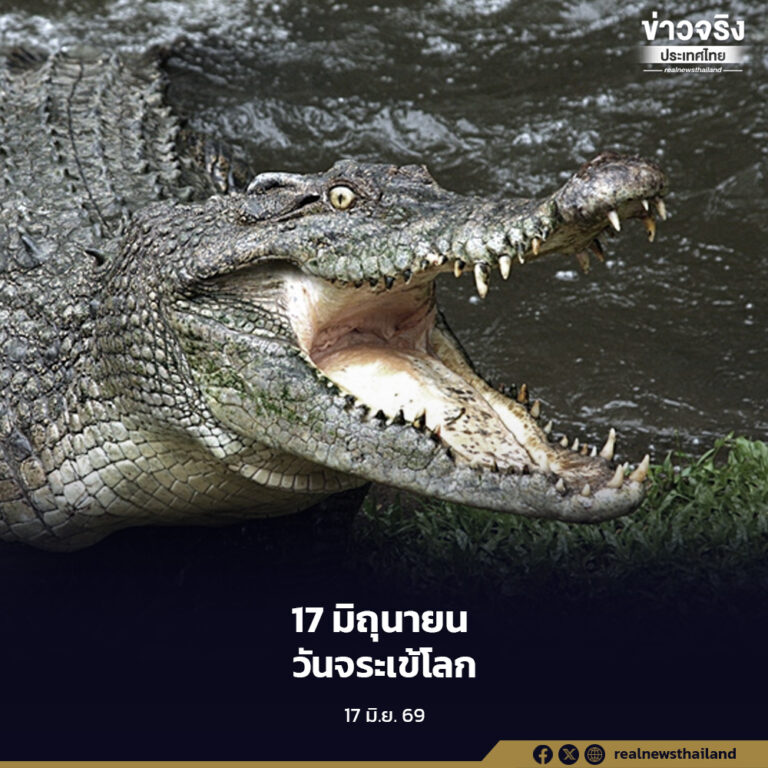 17 มิถุนายนของทุกปีคือ “วันจระเข้โลก”เปลี่ยนความกลัวเป็นความเข้าใจ เพื่อรักษานักล่าผู้ยิ่งใหญ่ให้อยู่คู่กับสายน้ำของโลก