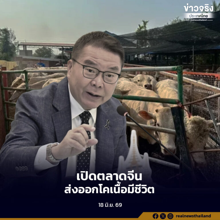 กระทรวงเกษตรฯ หารือภาครัฐและเอกชนไทย-จีน เร่งเปิดตลาดส่งออกโคเนื้อมีชีวิต ตั้งเป้าส่งออกปีละ 1.2 ล้านตัว