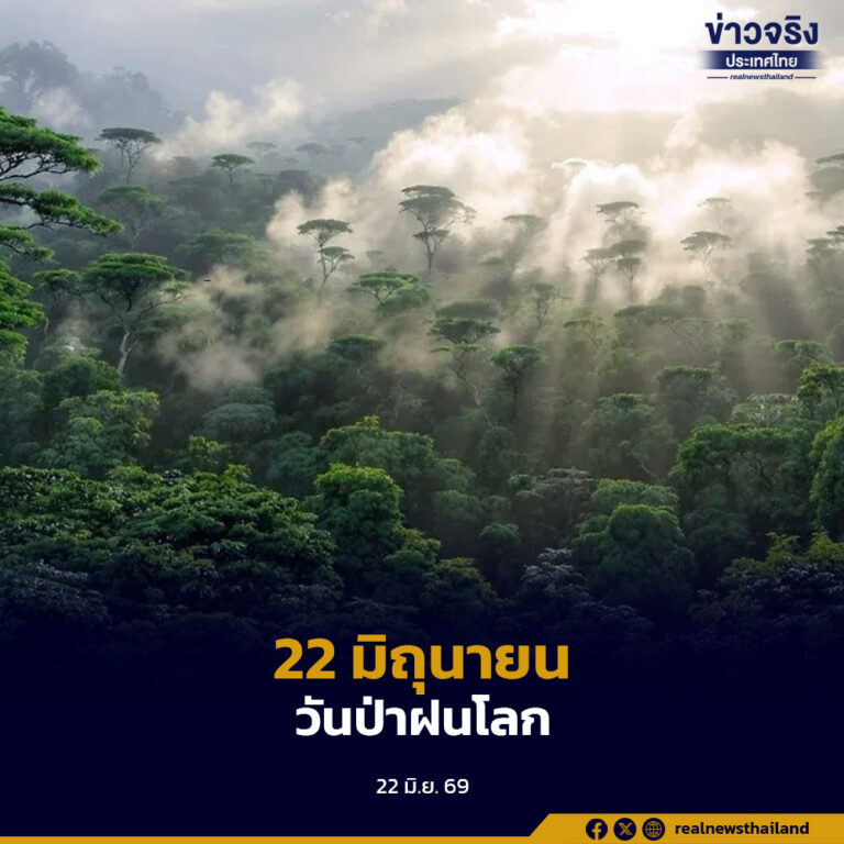 22 มิถุนายน “วันป่าฝนโลก” (World Rainforest Day) มหัศจรรย์แห่งปอดของโลกที่เราต้องช่วยกันรักษา