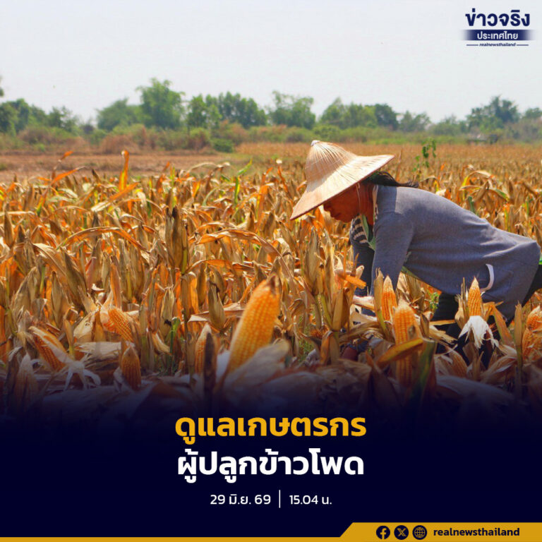 กมธ.การพาณิชย์และทรัพย์สินทางปัญญา เสนอ 4 แนวทางถึงรัฐมนตรีว่าการกระทรวงพาณิชย์ เร่งสร้างความเข้าใจและคุ้มครองเกษตรกร หลังขยายเวลานำเข้าข้าวโพดเลี้ยงสัตว์อีก 2 เดือน