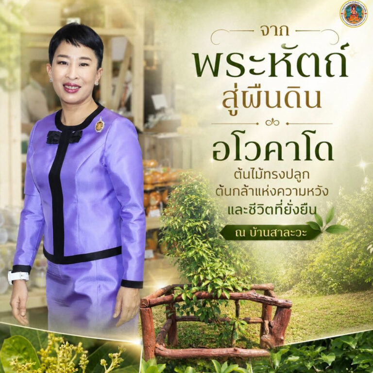 จากพระหัตถ์สู่ผืนดิน… “อโวคาโด” ต้นไม้ทรงปลูก ต้นกล้าแห่งความหวังและชีวิตที่ยั่งยืน ณ บ้านสาละวะ