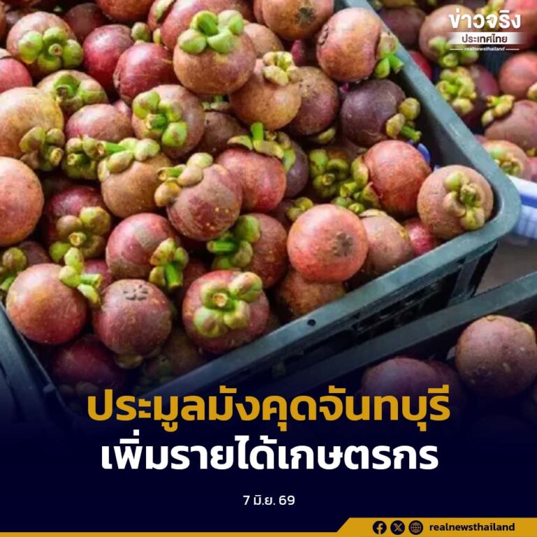 “พาณิชย์” เปิดลานประมูลมังคุดจันทบุรี ขายได้ราคาตามคุณภาพ เพิ่มรายได้เกษตรกร