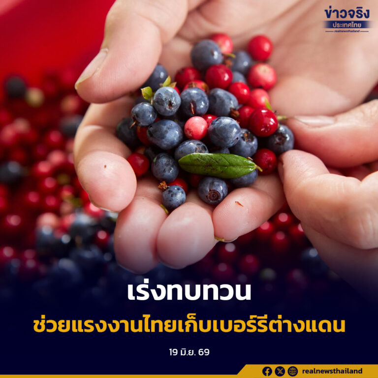 “จุลพันธ์” รับฟังข้อเสนอผู้แทนสหภาพคนทำงานไปต่างประเทศ เร่งทบทวนมาตรการช่วยเหลือแรงงานไทยเก็บเบอร์รีในต่างแดน