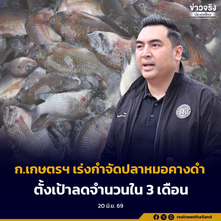 ก.เกษตรฯ  เร่งแก้ไขการแพร่ระบาดของปลาหมอคางดำ ตั้งเป้าลดจำนวนให้เห็นผลอย่างเป็นรูปธรรมภายใน 3 เดือน พร้อมจัดทำโครงการส่งเสริมอาชีพ ลดการสูญเสียรายได้ให้เกษตรกรผู้เลี้ยงกุ้งที่ได้รับผลกระทบ 