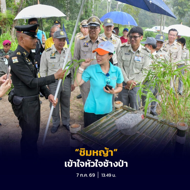 เรื่องเล่าสุดประทับใจ… เมื่อพระองค์ทรง “ชิมหญ้า” เพื่อเข้าใจหัวใจช้างป่า
