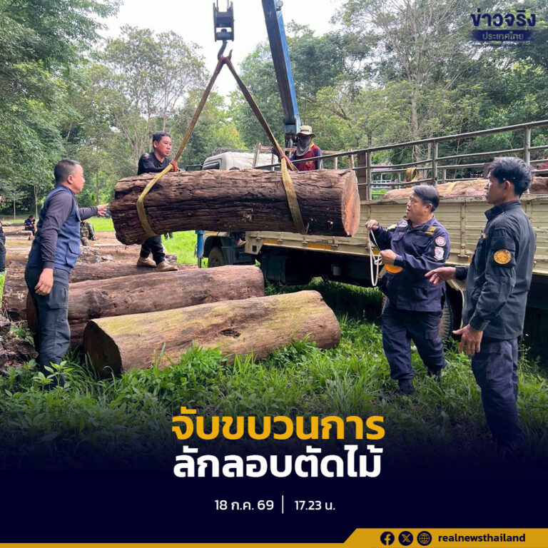 กรมป่าไม้ จับกุมขบวนการลักลอบตัดไม้ในพื้นที่ป่าสงวนแห่งชาติจังหวัดลำปาง ตรวจยึดไม้ประดู่มูลค่าความเสียหายของรัฐกว่า 220,000 บาท