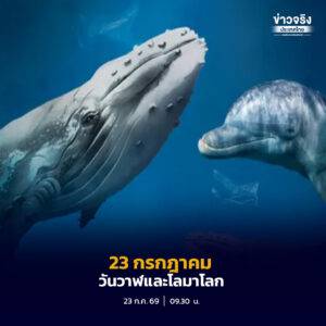 วันวาฬและโลมาโลก ร่วมปกป้องวาฬและโลมา คือการปกป้องความอุดมสมบูรณ์ของท้องทะเล