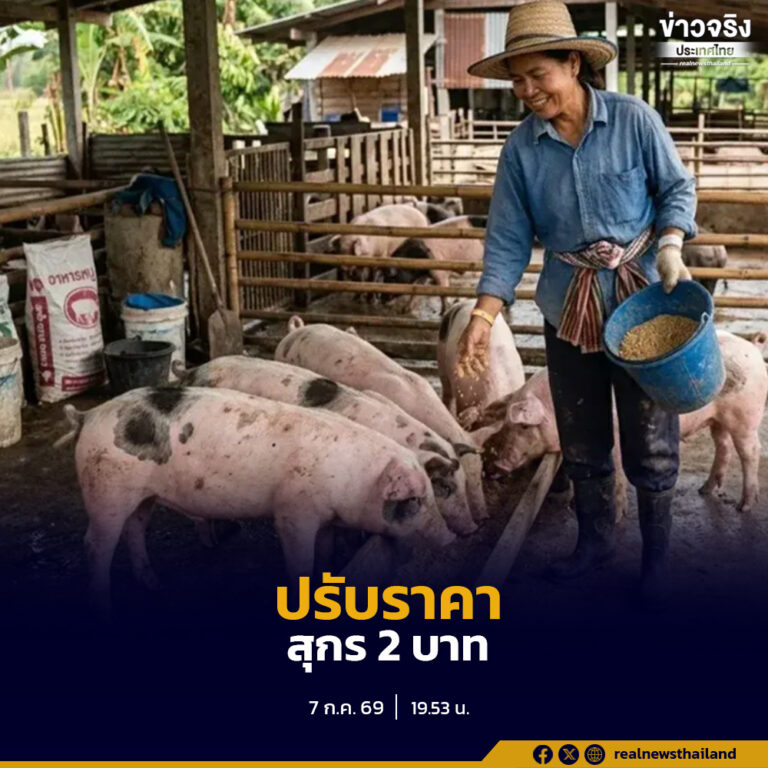 สมาคมผู้เลี้ยงสุกรแห่งชาติและสหกรณ์ผู้เลี้ยงสุกร ประกาศปรับราคาแนะนำสุกรมีชีวิตหน้าฟาร์มเพิ่ม 2 บาทต่อกิโลกรัม มีผลตั้งแต่วันที่ 7 กรกฎาคม 2569 เพื่อพยุงราคาสุกรให้สอดคล้องกับต้นทุนการผลิต