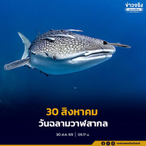30 สิงหาคมวันฉลามวาฬสากล ร่วมอนุรักษ์สัตว์ทะเลหายาก ฉลามวาฬคือ หนึ่งในสัญลักษณ์ของความอุดมสมบูรณ์แห่งมหาสมุทร
