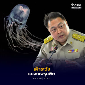 “สุชาติ” ห่วงใยความปลอดภัยนักท่องเที่ยว กำชับกรมทะเล เข้มเฝ้าระวังแมงกะพรุนพิษ