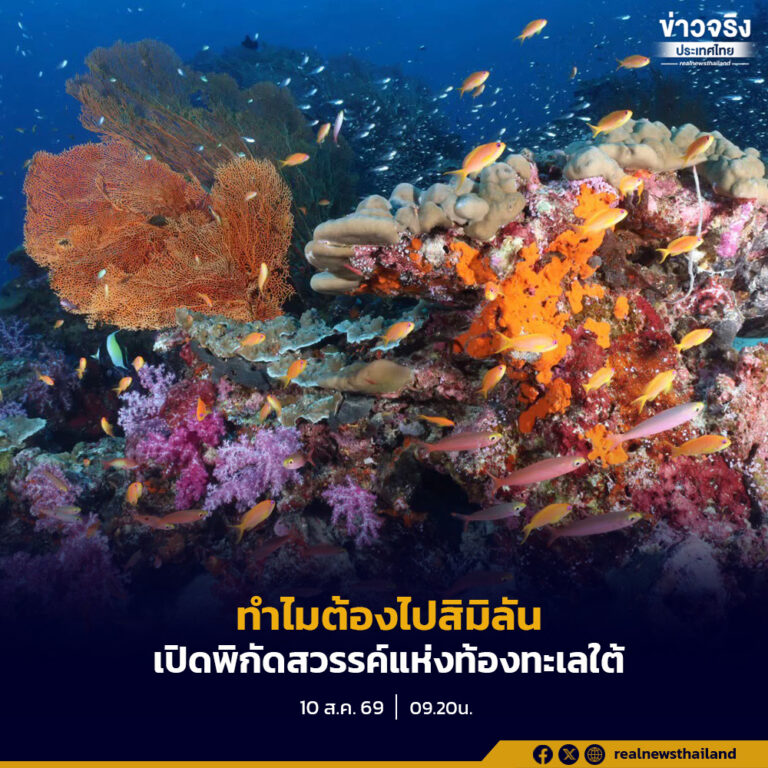 ทำไมต้องไปสิมิลัน… เปิดพิกัดสวรรค์แห่งท้องทะเลใต้ มนต์เสน่ห์ “หมู่เกาะสิมิลัน” อัญมณีเม็ดงามแห่งอันดามัน