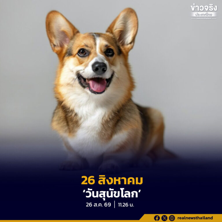 26 สิงหาคม วันสุนัขโลก ร่วมกันกระตุ้นให้สังคมตระหนักรู้เรื่องการต่อต้านการทารุณกรรมและการถูกทอดทิ้ง