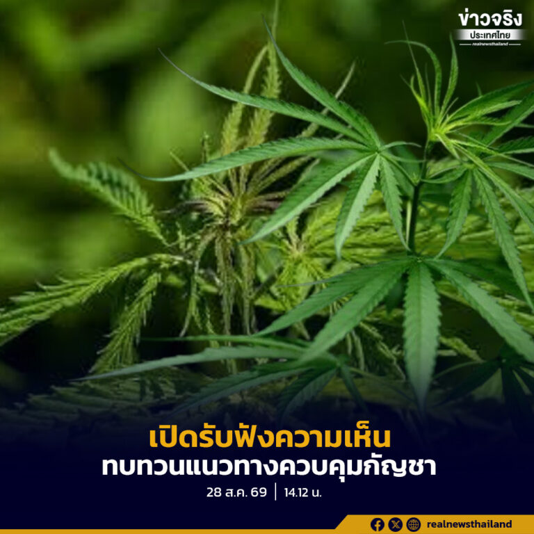 รัฐสภาเตรียมเปิดรับฟังความเห็น ทบทวนแนวทางควบคุมกัญชาและผลักดันกฎหมายเข้าสู่สภาฯ