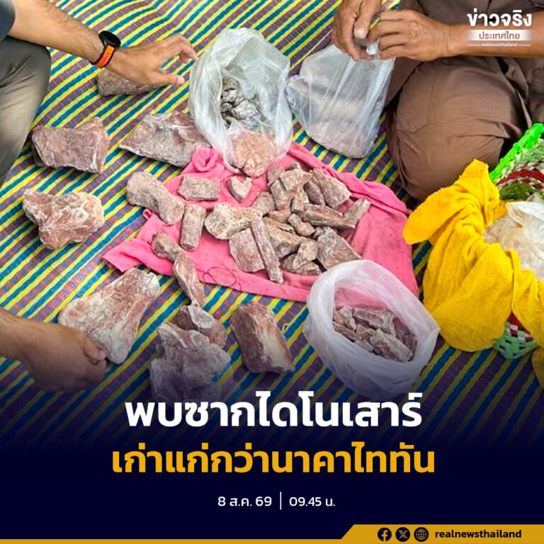 กรมทรัพยากรธรณีลงพื้นที่ตรวจสอบซากดึกดำบรรพ์ไดโนเสาร์ในจังหวัดชัยภูมิ อายุประมาณ 130 ล้านปี เบื้องต้นพบชิ้นส่วนกระดูกที่มีลักษณะสอดคล้องกับไดโนเสาร์กินเนื้อ และอาจมีอายุเก่าแก่กว่านาคาไททัน