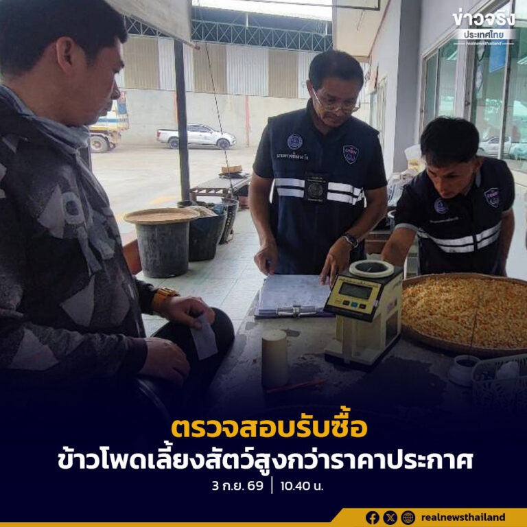 กระทรวงพาณิชย์ เดินหน้าตรวจสอบการรับซื้อข้าวโพดเลี้ยงสัตว์ พบโรงงานรับซื้อสูงกว่าราคาประกาศ