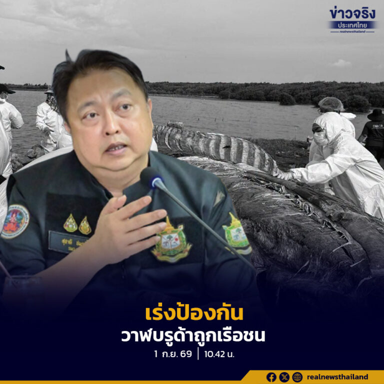 “สุชาติ” สั่ง ทช. เร่งวางมาตรการป้องกันวาฬบรูด้าถูกเรือชน จัดเจ้าหน้าที่เฝ้าระวังพื้นที่และเส้นทางเดินเรือ ลดความเสี่ยงการสูญเสียสัตว์ทะเลหายาก