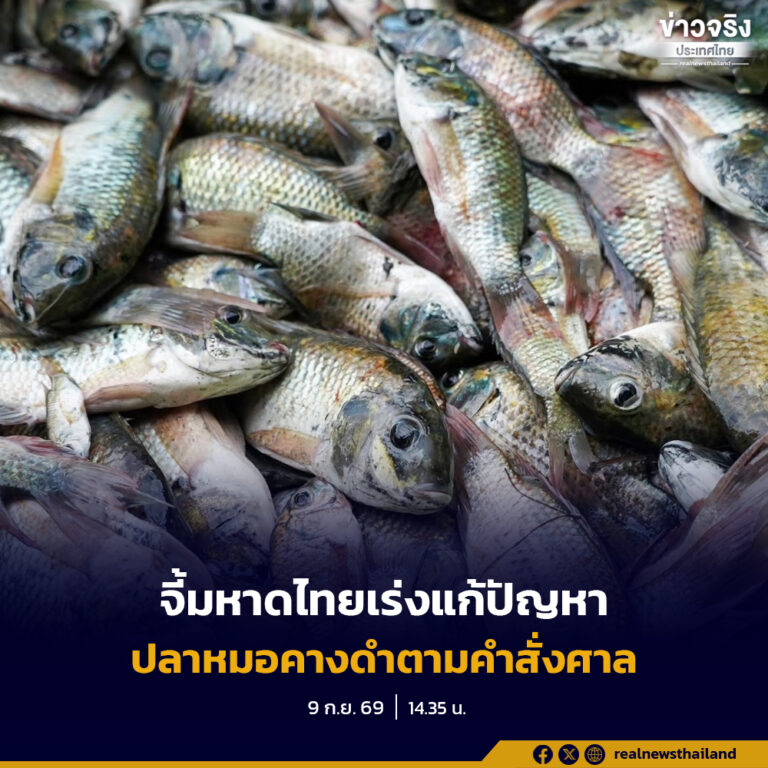 พรรคประชาชนจี้กรมประมง-กระทรวงมหาดไทย เร่งแก้ไขปัญหาปลาหมอคางดำตามคำสั่งศาลปกครองกลาง