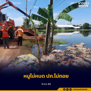 ปภ.ลุยจัดเรือท้องแบน ขนย้ายซากหมูเมืองปราจีนฯ ต่อเนื่อง ตัดวงจรเชื้อโรค