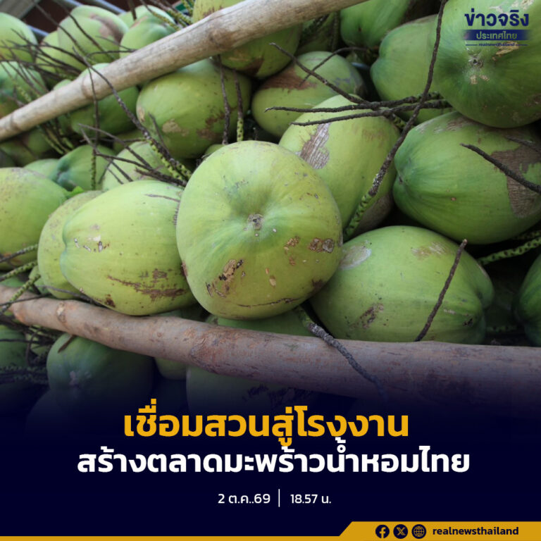 อคส.เชื่อมสวนสู่โรงงาน เดินหน้าสร้างตลาดมะพร้าวน้ำหอมไทย เชื่อมเกษตรกรสู่ตลาดอย่างเป็นรูปธรรม
