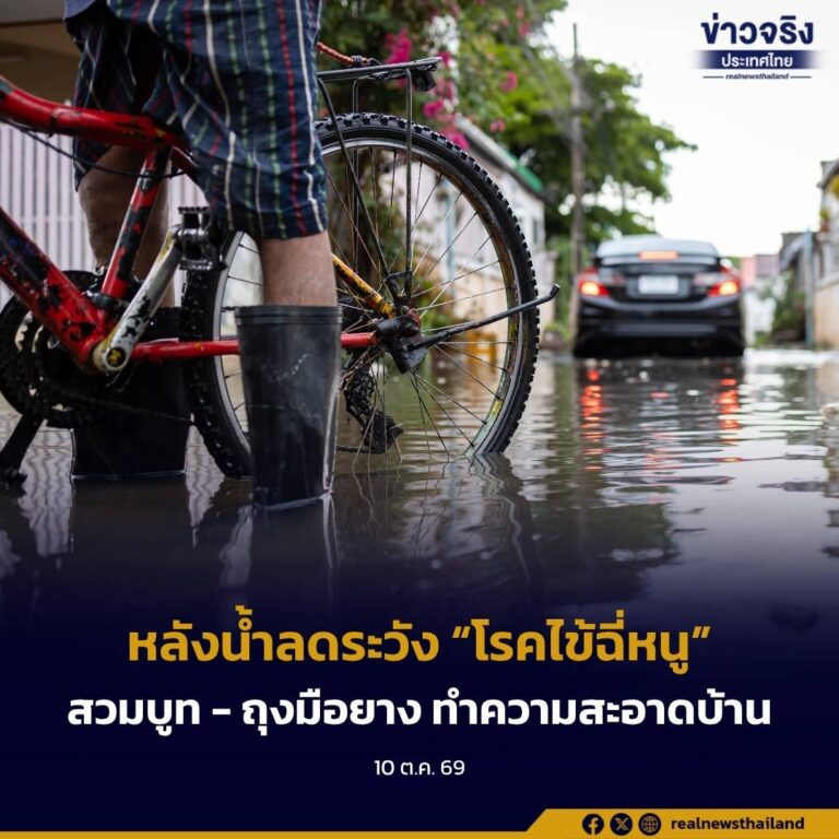 กรมควบคุมโรคเตือน หลังน้ำลดระวัง “โรคไข้ฉี่หนู” แนะสวมรองเท้าบูท–ถุงมือยาง ขณะทำความสะอาดบ้าน